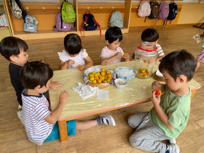 園児が梅ジュースを作る