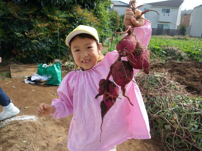 お芋掘り遠足