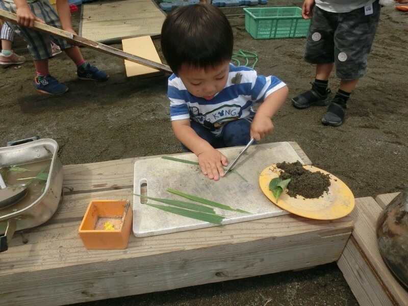 葉っぱでお料理